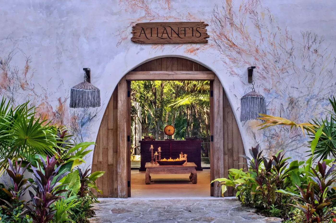 Palmaia The House of AIA