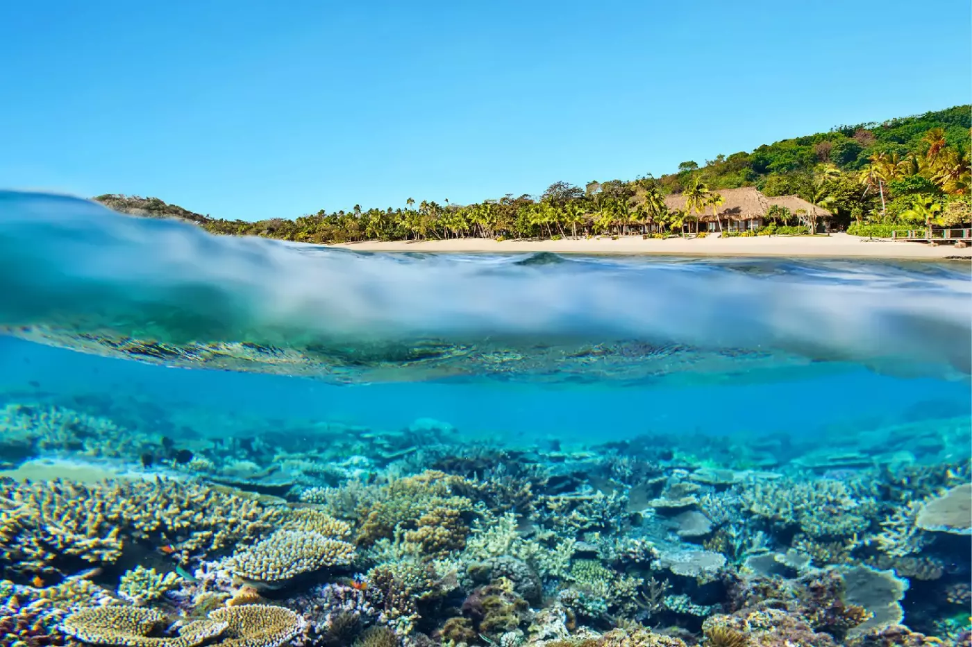 Kokomo Private Island Fiji