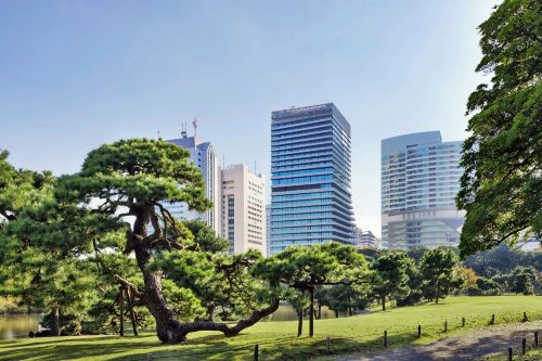 Mesm Tokyo
