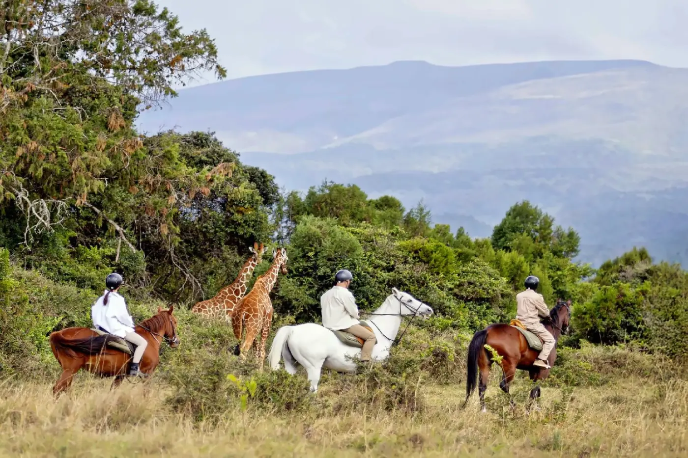 Fairmont Mount Kenya Safari Club