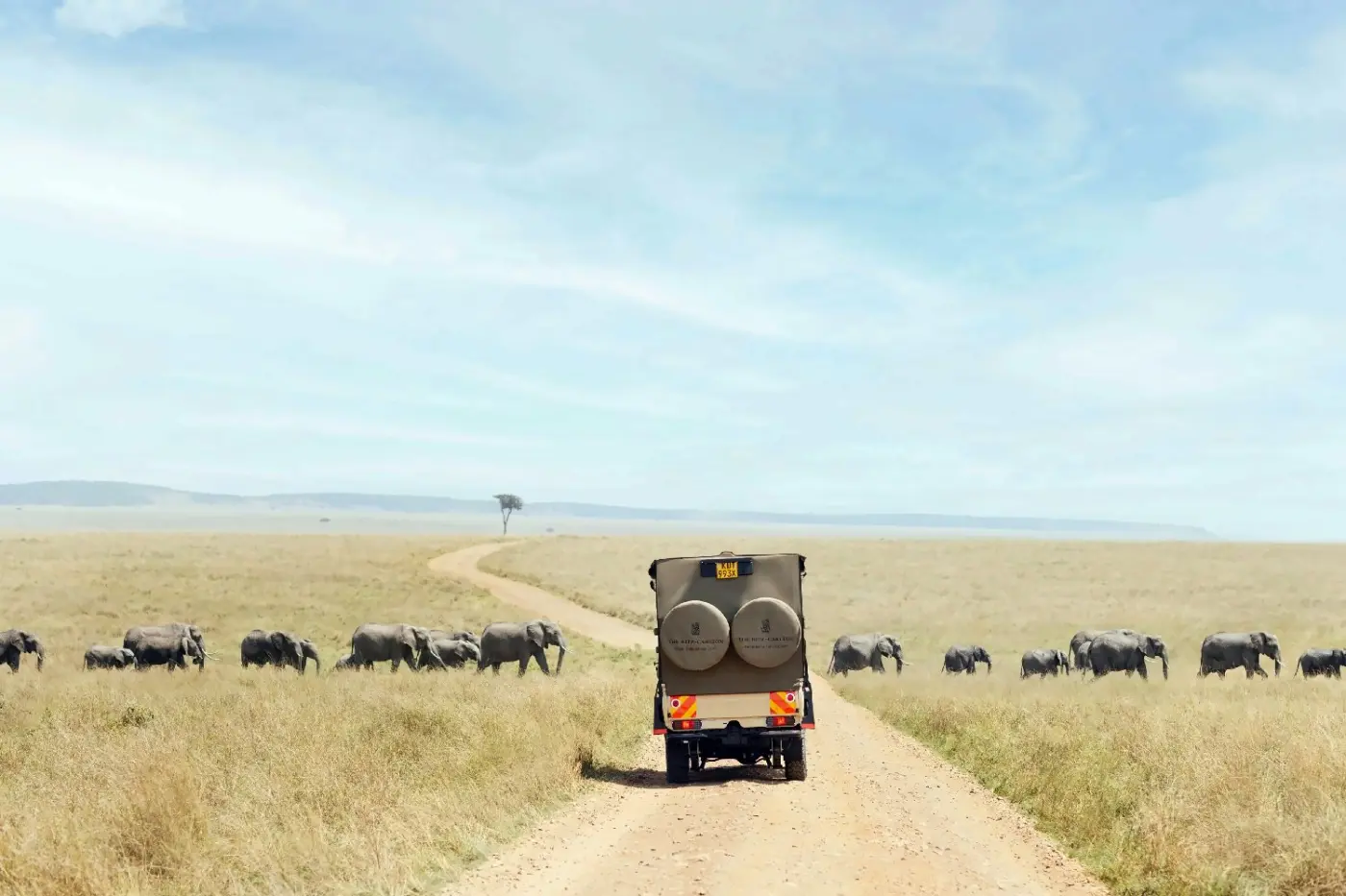 Ritz Carlton Masai Mara Safari Camp