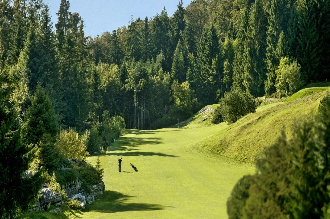 Buergenstock Hotel & Alpine Spa