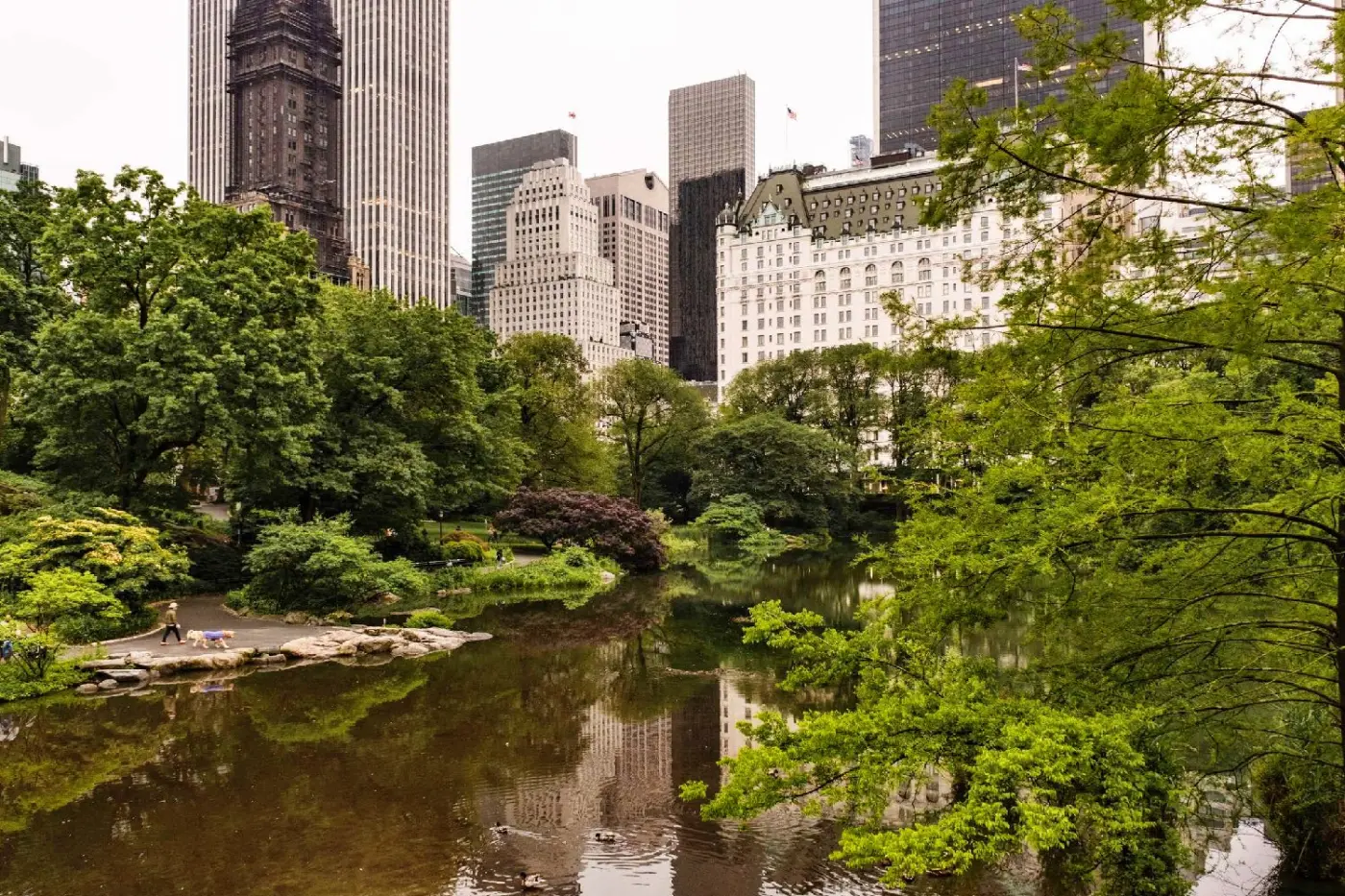 The Plaza Hotel New York