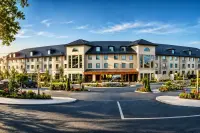 Thumbnail The Hawthorn by Galway Bay
