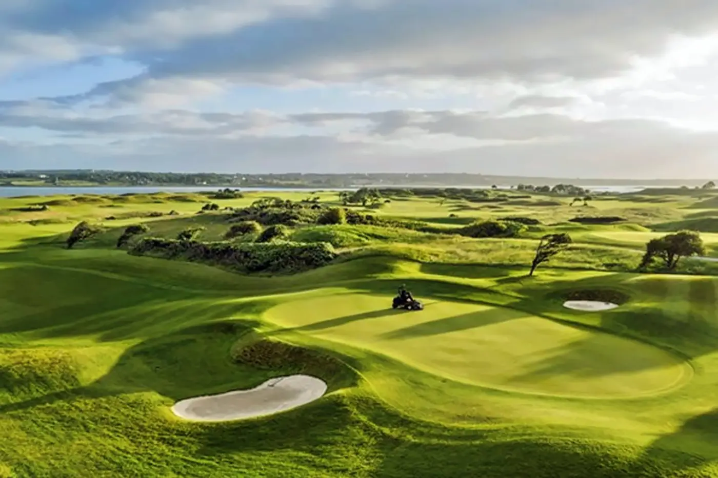 The Hawthorn by Galway Bay