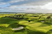 Thumbnail The Hawthorn by Galway Bay