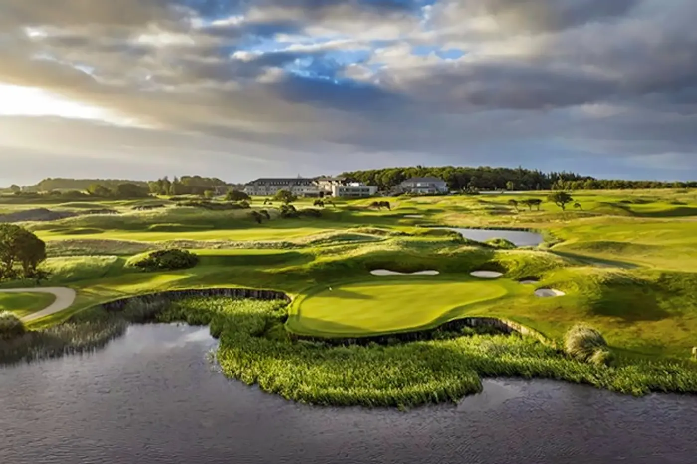 The Hawthorn by Galway Bay