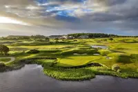 Thumbnail The Hawthorn by Galway Bay
