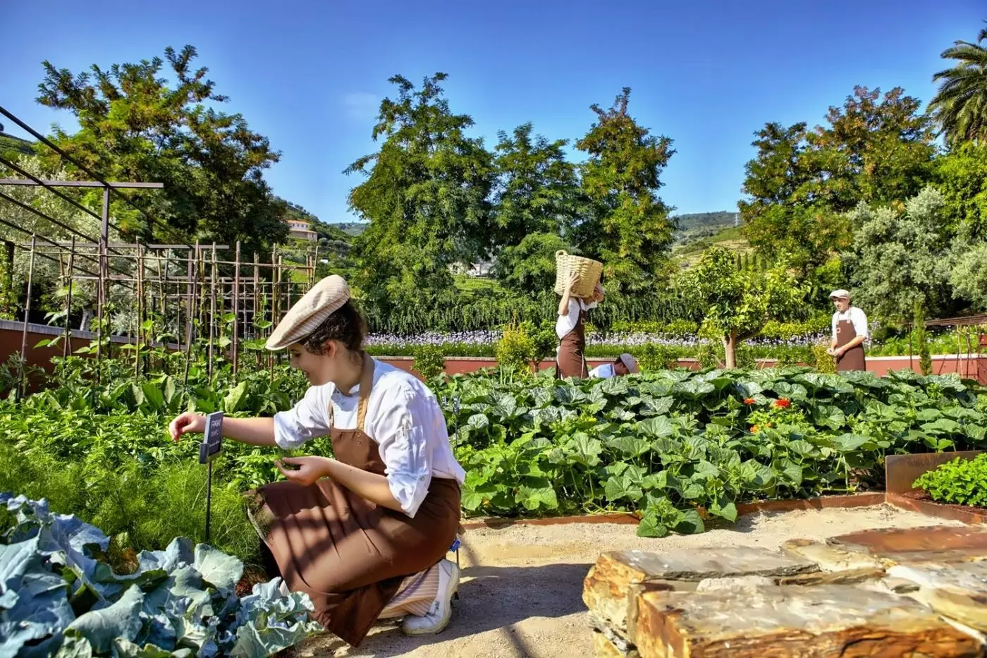 Six Senses Douro Valley