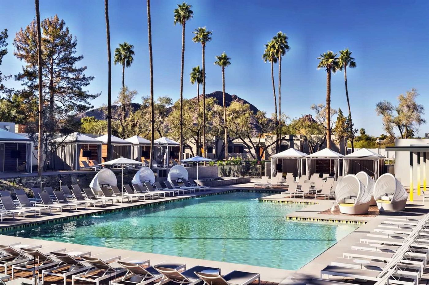 Andaz Scottsdale Resort & Bungalows