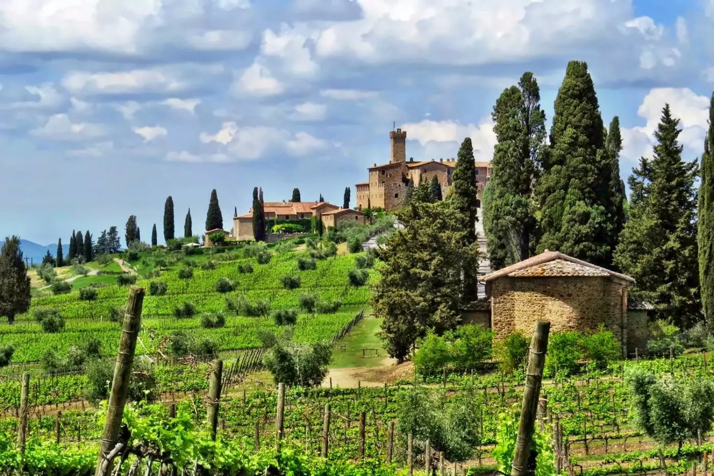Castello Banfi Il Borgo
