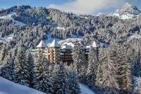 Thumbnail The Alpina Gstaad