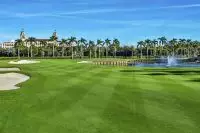 Thumbnail The Breakers Palm Beach