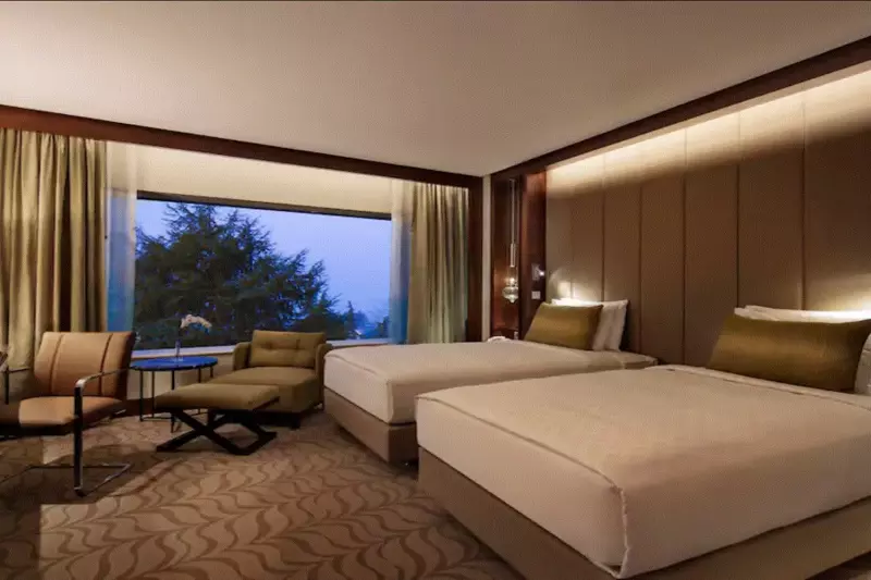 Deluxe Park View Room
