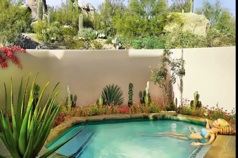 Oasis Plunge Pool Suite