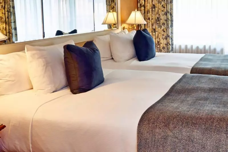 1 Bedroom Suite