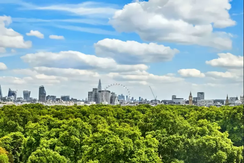 Premium City Skyline View Room