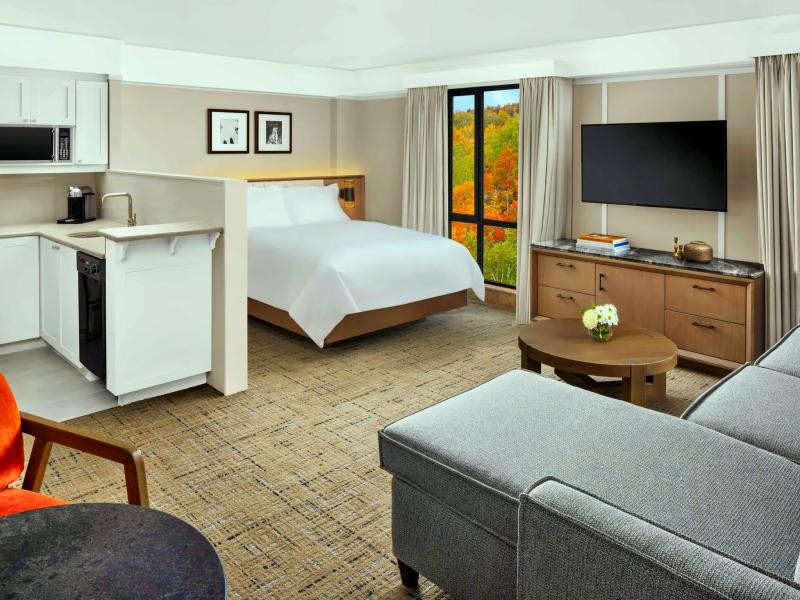 Luxury Studio Suite 
