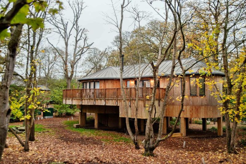 2 Bedroom Luxury Treehouse Suite