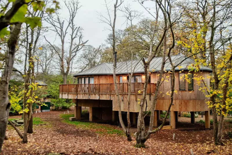 2 Bedroom Luxury Treehouse Suite