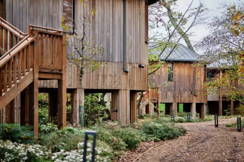 2 Bedroom Luxury Treehouse Suite