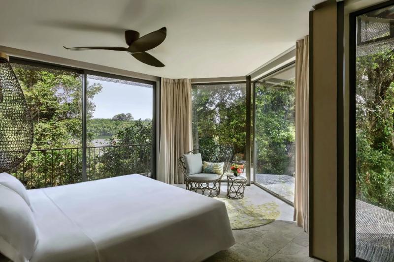 Rainforest Suite