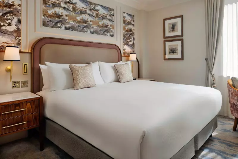 Superior Urban View Room 