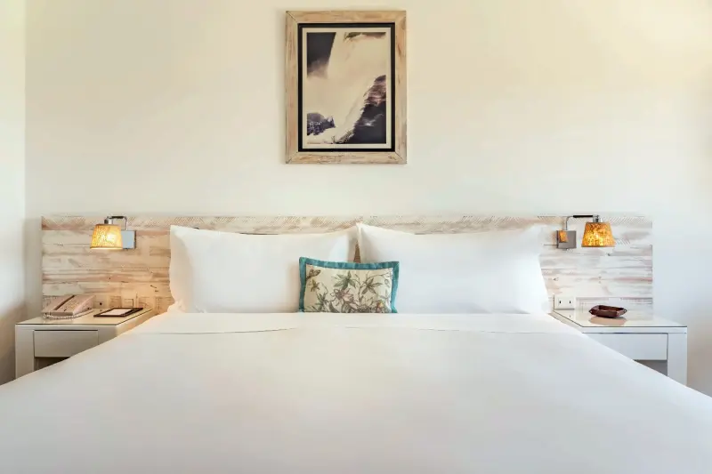 Deluxe Jungle View Room