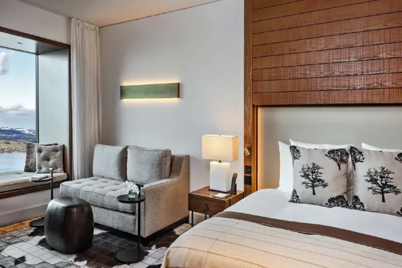 Contemporary Deluxe Room