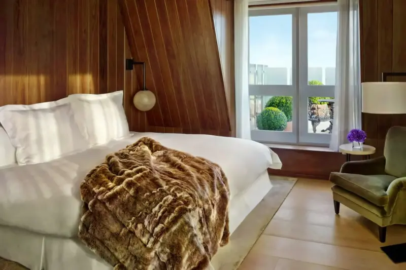 Terrace Suite 