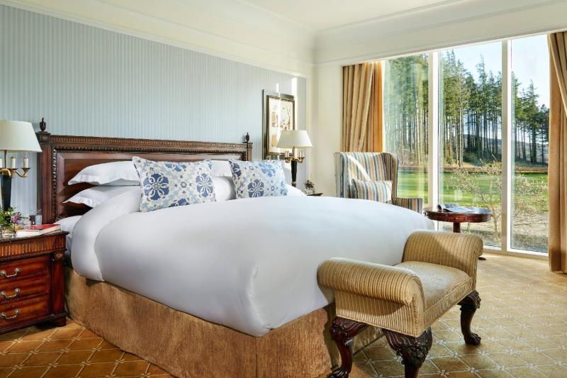 Deluxe Mountain View Room 