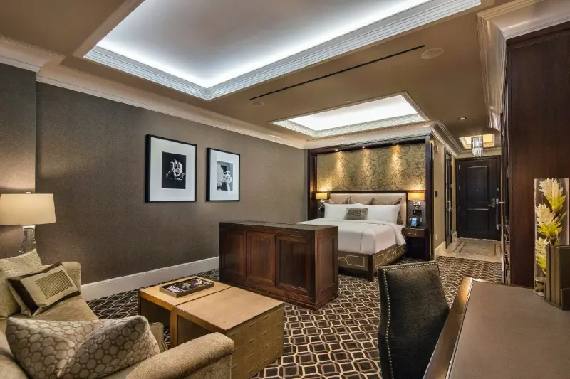 Luxury Downtown View Room