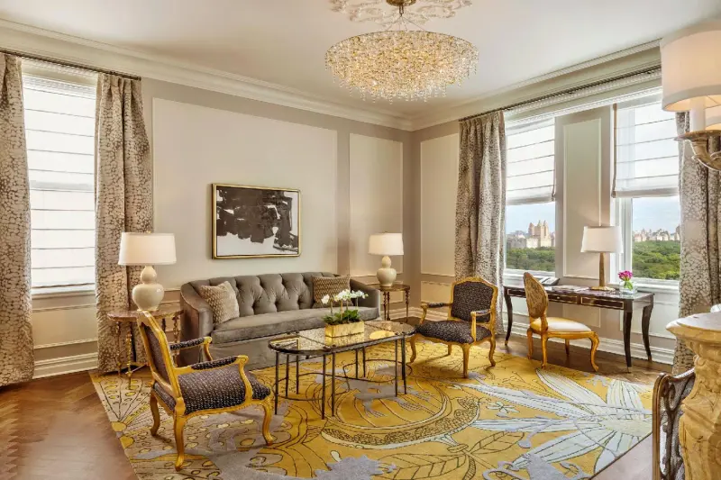 Carnegie Partial Park View Suite