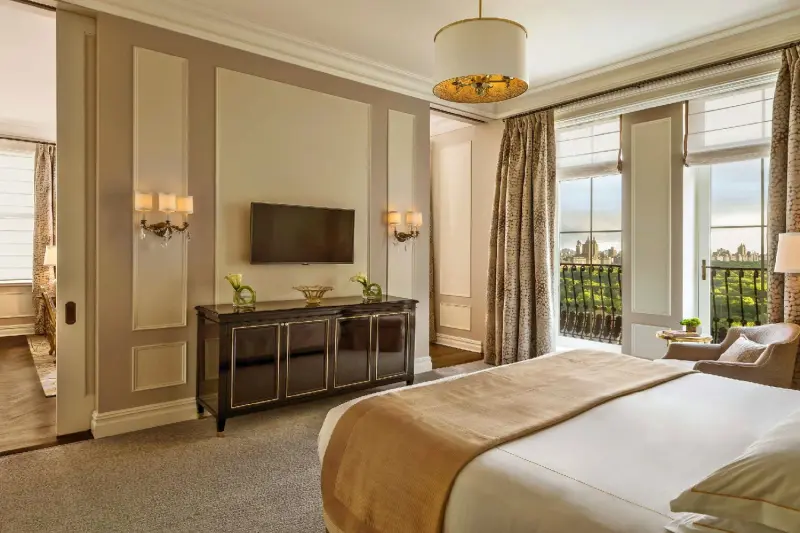 Carnegie Partial Park View Suite