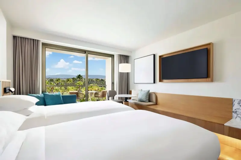 Deluxe Pool View Room
