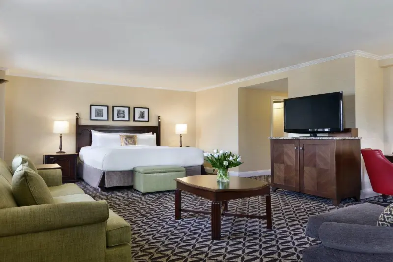 1 Bedroom View Suite