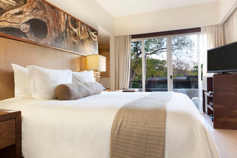 Root Deluxe Junior Suite