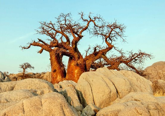 Botswana