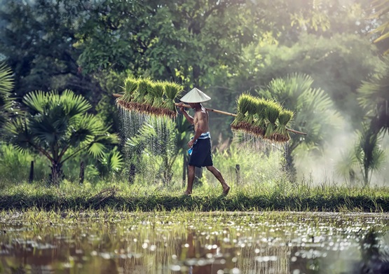 Cambodia