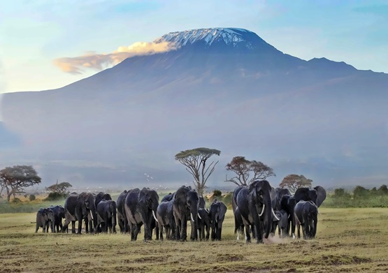 Kenya