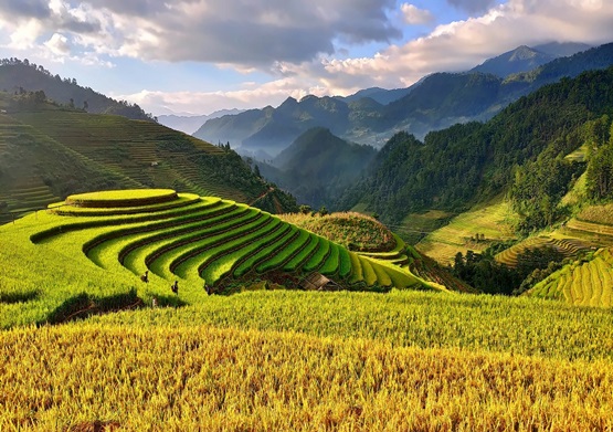 Vietnam