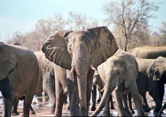 Zimbabwe