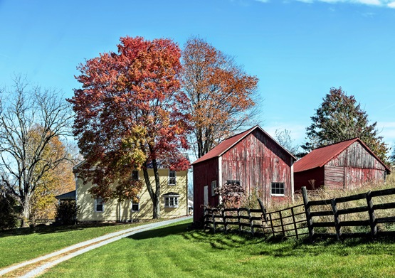 Virginia