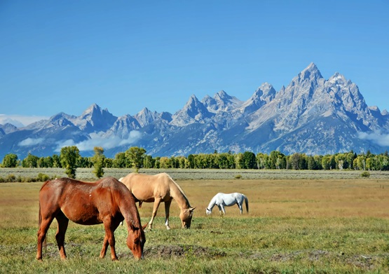 Wyoming