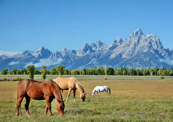 Wyoming