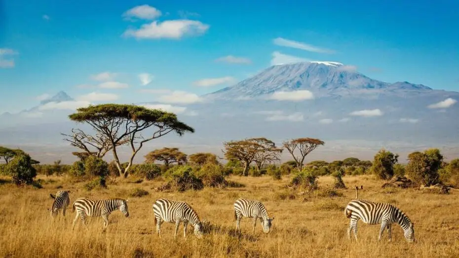 Africa
