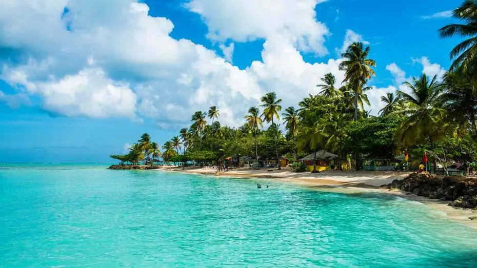 The Caribbean